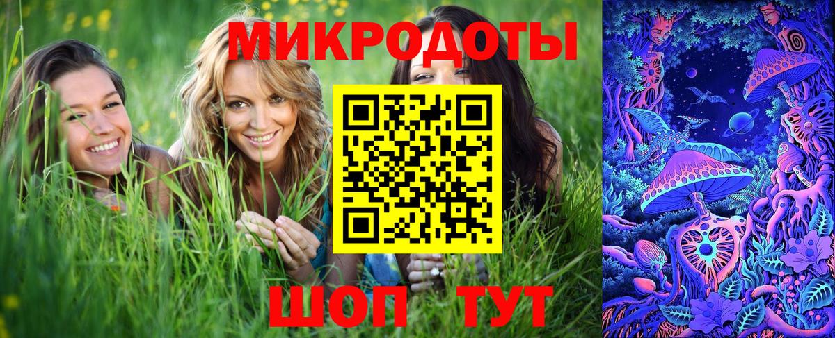 Псилоцибиновые грибы прущие грибы Кингисепп
