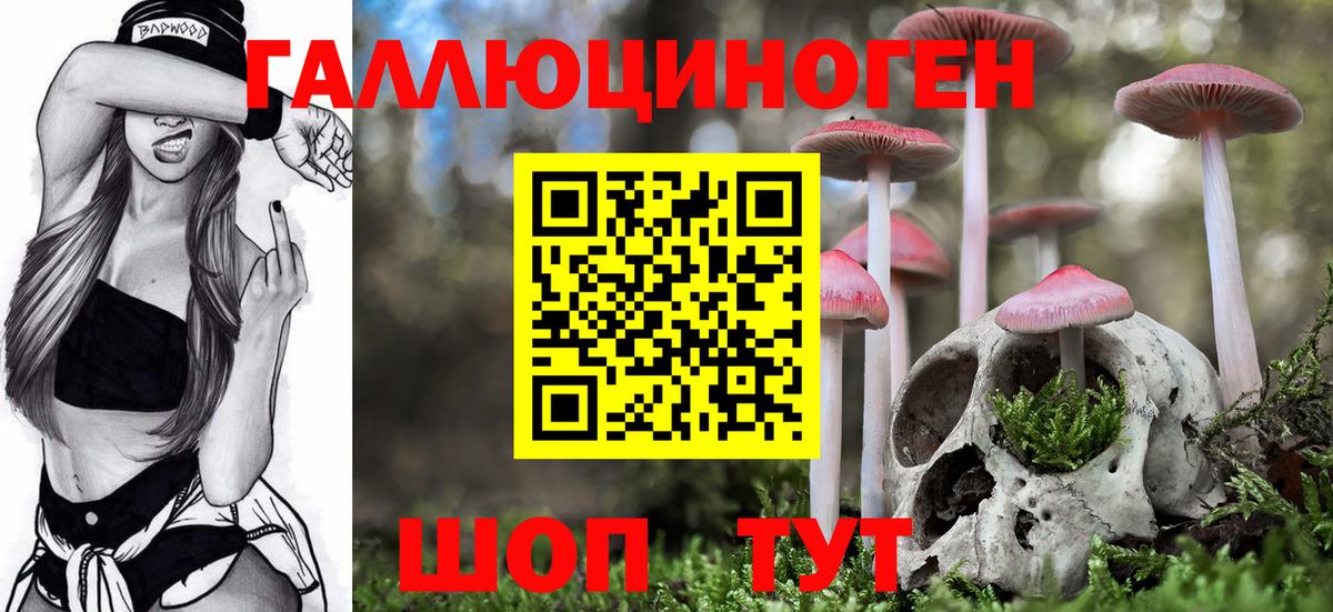 купить закладку  Галлюциногенные грибы мухоморы  Вход с VPN  Кингисепп 